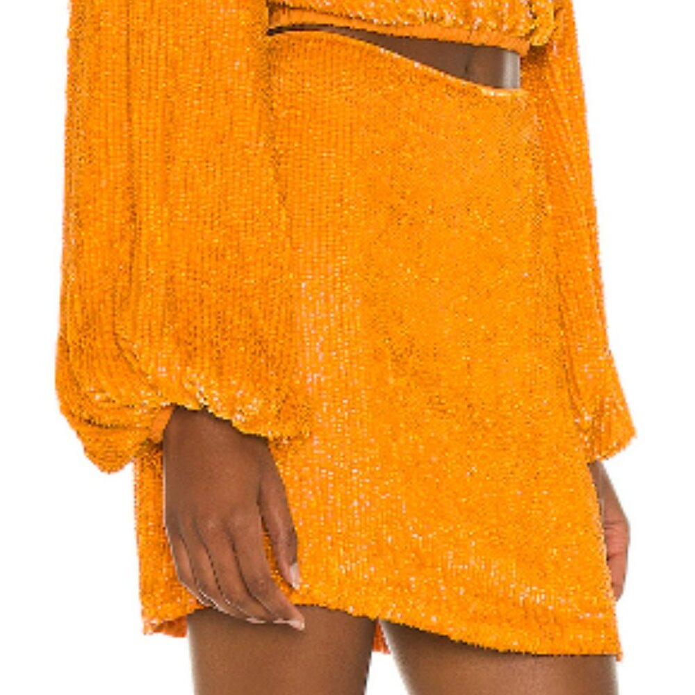 NWT retrofete sequin skirt - size XS